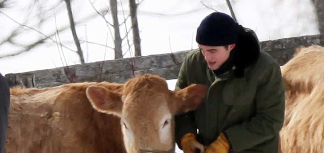 Un vaquero en dificultades, Robert Pattinson