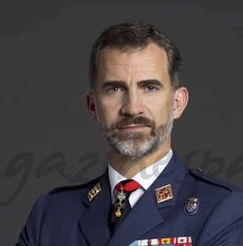 Felipe VI, ya tiene sus fotos oficiales como militar