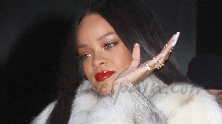 Rihanna ¡no sin mis pieles!