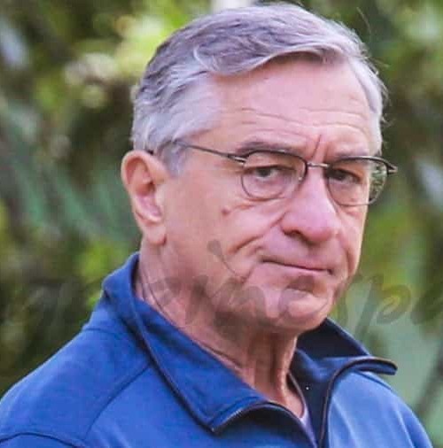 Robert de Niro vuelve al trabajo