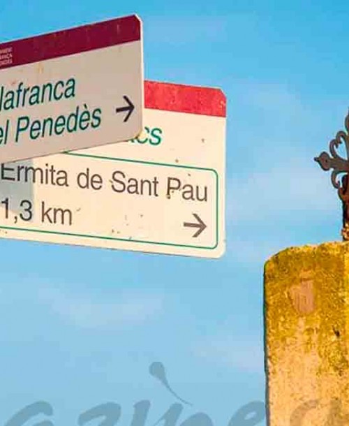 Doce rutas entre viñedos