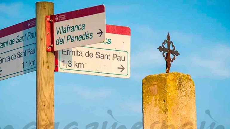 Doce rutas entre viñedos