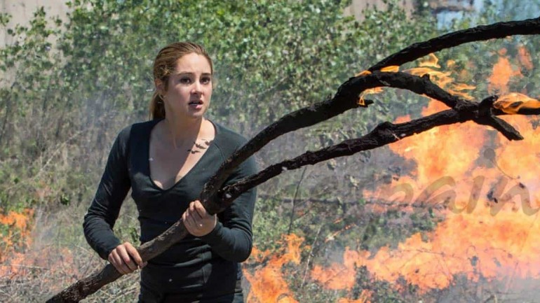 Shailene Woodley, detenida