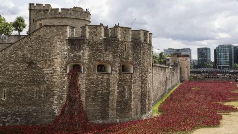 Las amapolas del recuerdo