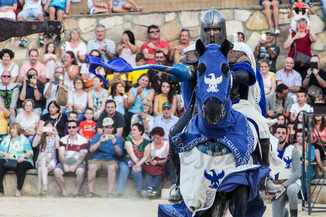 XXI Jornadas Medievales Ciudad de Ávila 