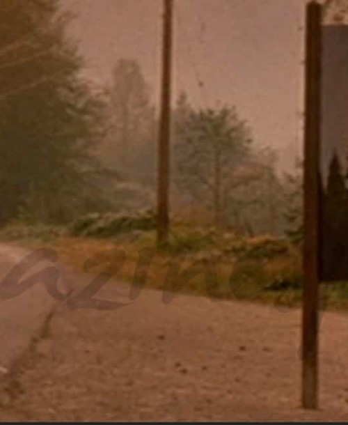 Vuelve «Twin Peaks»