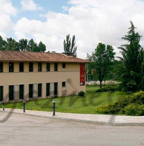 Primera escuela mundial de modelos, en una Universidad