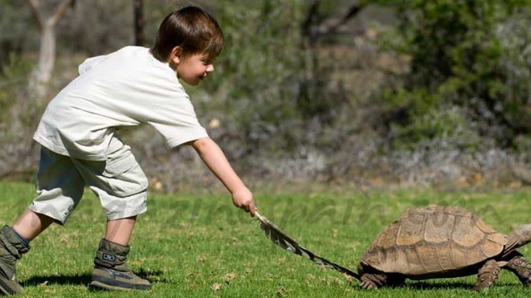Viajes en familia para Semana Santa y el Puente de Mayo