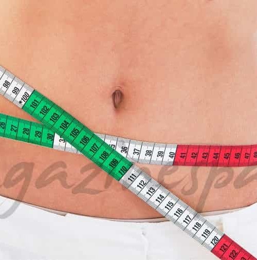 Tipos de abdomen y alimentación