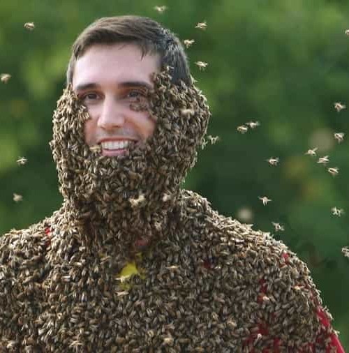 Las abejas, ¿amigas de los hombres?