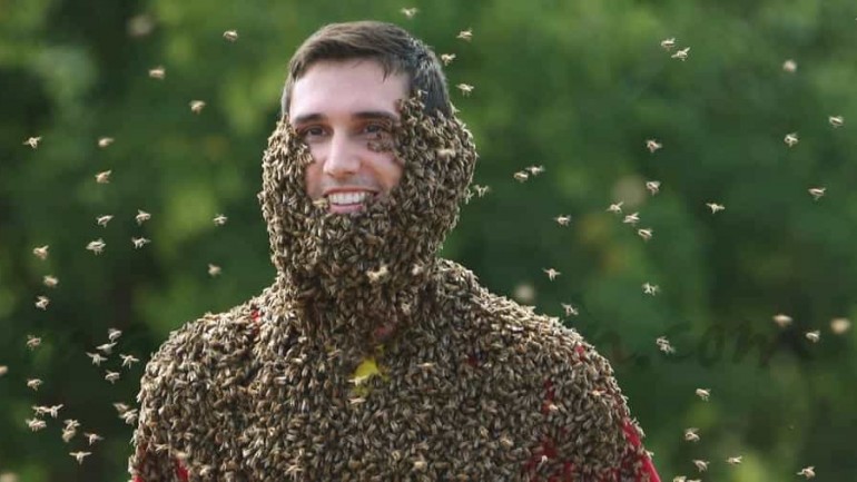Las abejas, ¿amigas de los hombres?