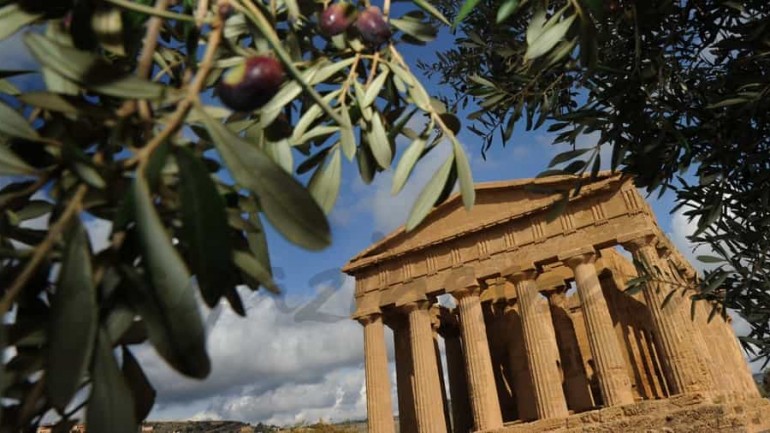 El aceite de los dioses