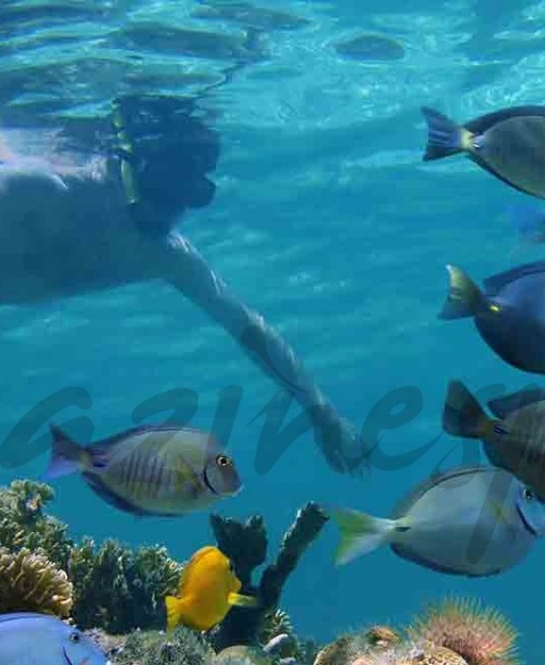 Siete experiencias para disfrutar del agua alrededor del mundo