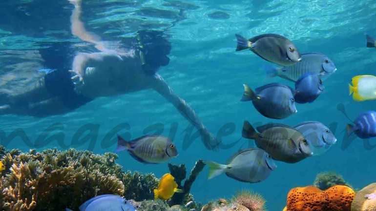 Siete experiencias para disfrutar del agua alrededor del mundo