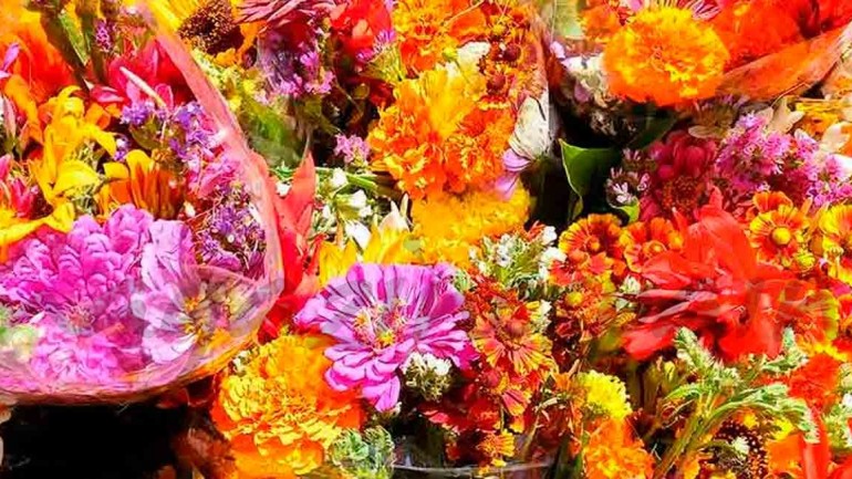 Bodas de verano: Día