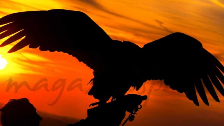 Apache vuela al atardecer