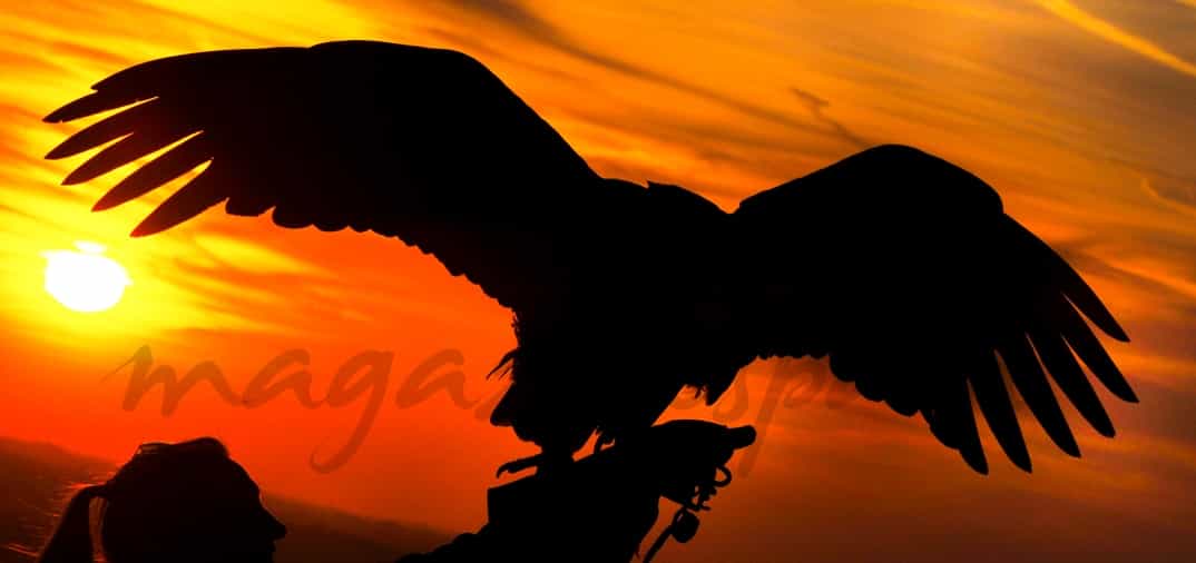 Apache vuela al atardecer