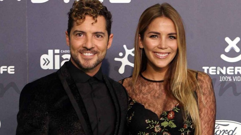 David Bisbal y Rosanna Zanetti formalizan su relación como pareja de hecho