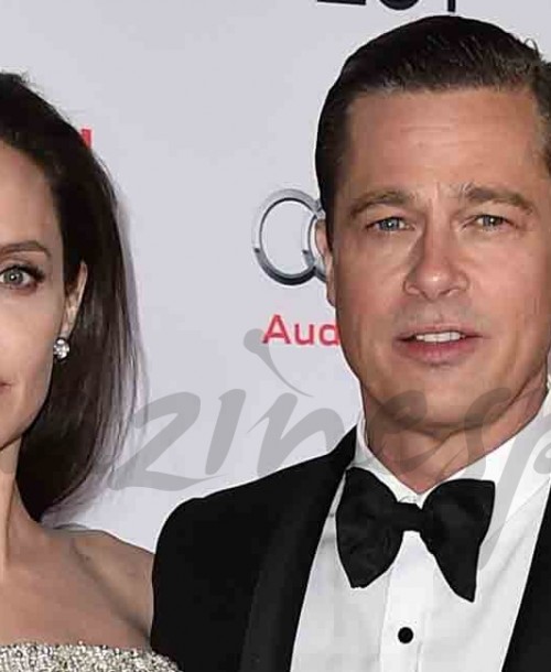 Brad Pitt y Angelina Jolie… Sigue el proceso de divorcio