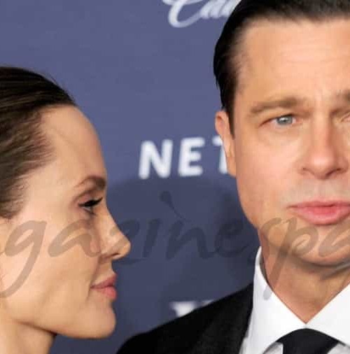 Brad Pitt y Angelina Jolie… ¿Por qué no se han separado?