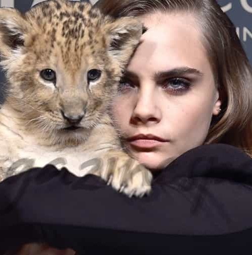 La imagen más “felina” de Cara Delevingne