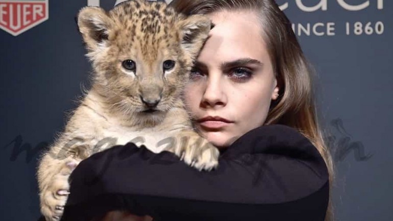 La imagen más «felina» de Cara Delevingne