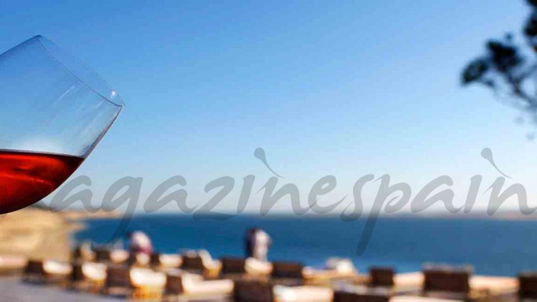 Cómo catar un vino: Parte I