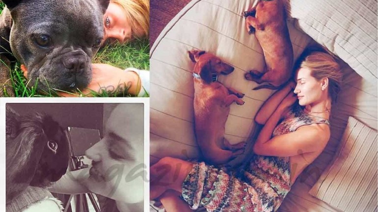 Las celebrities comparten sus vidas