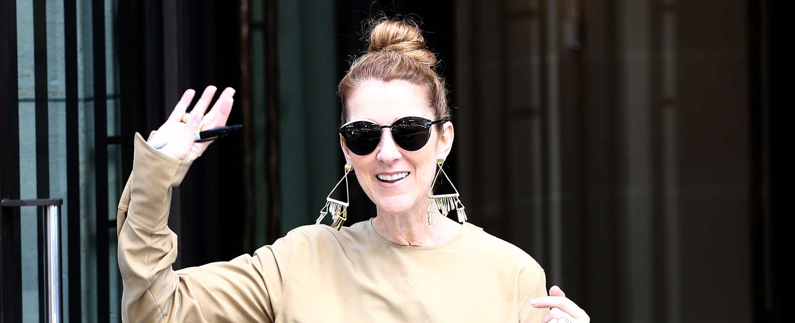 Celine Dion recupera la sonrisa