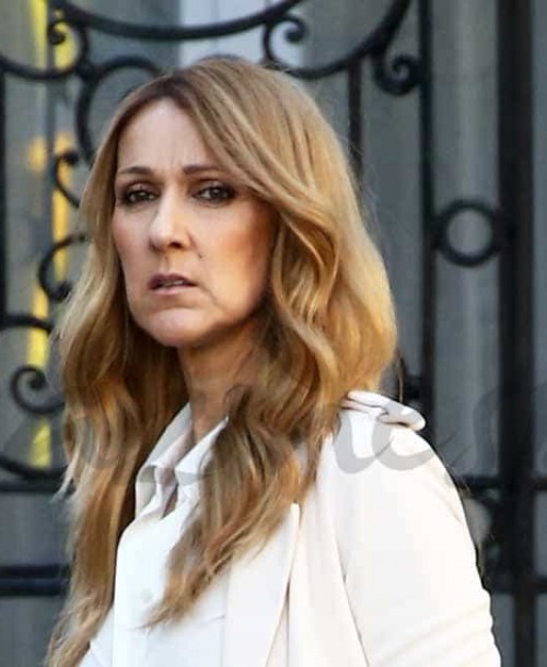 Celine Dion detiene el tráfico en París