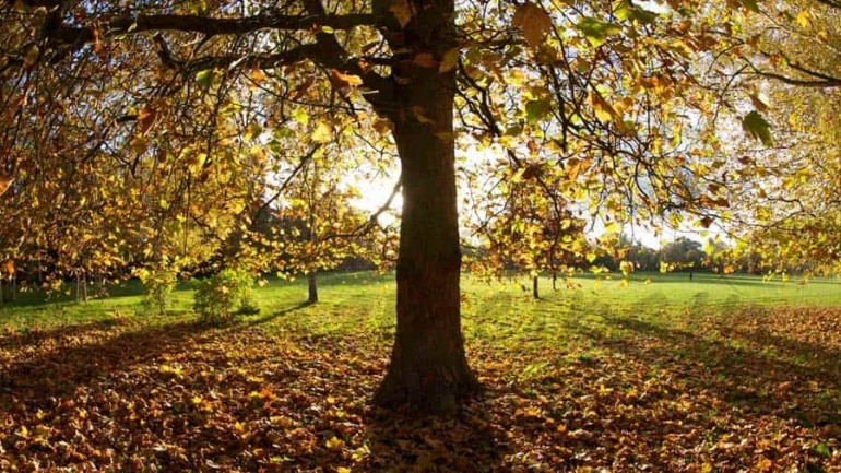 Los colores del otoño