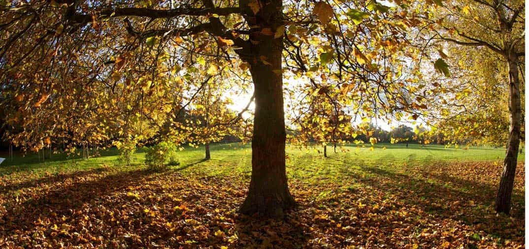 Los colores del otoño