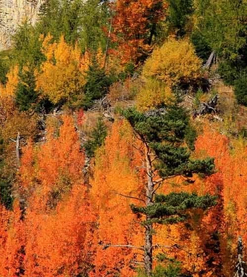 Los mejores platos para el frio Otoño