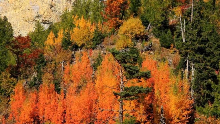 Los mejores platos para el frio Otoño