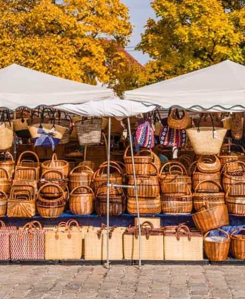En otoño, ¿cómo hacer la cesta de la compra perfecto?