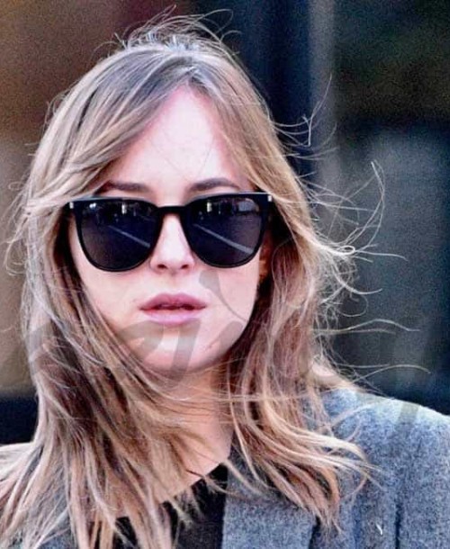 Dakota Johnson street style New York