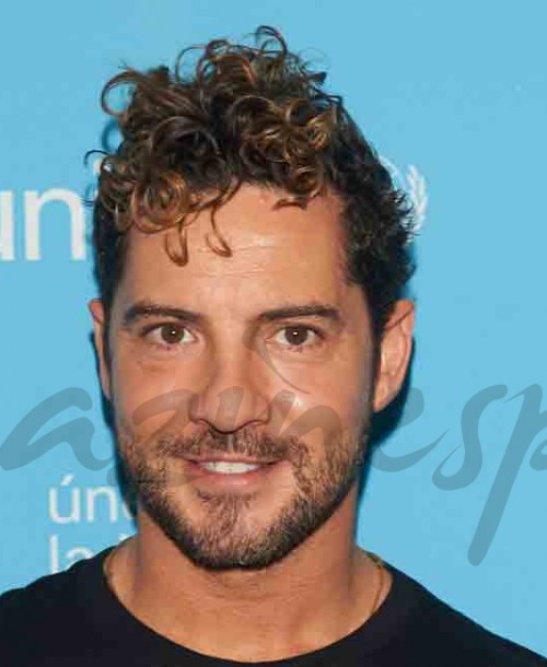 David Bisbal: «Estoy muy contento, muy feliz»