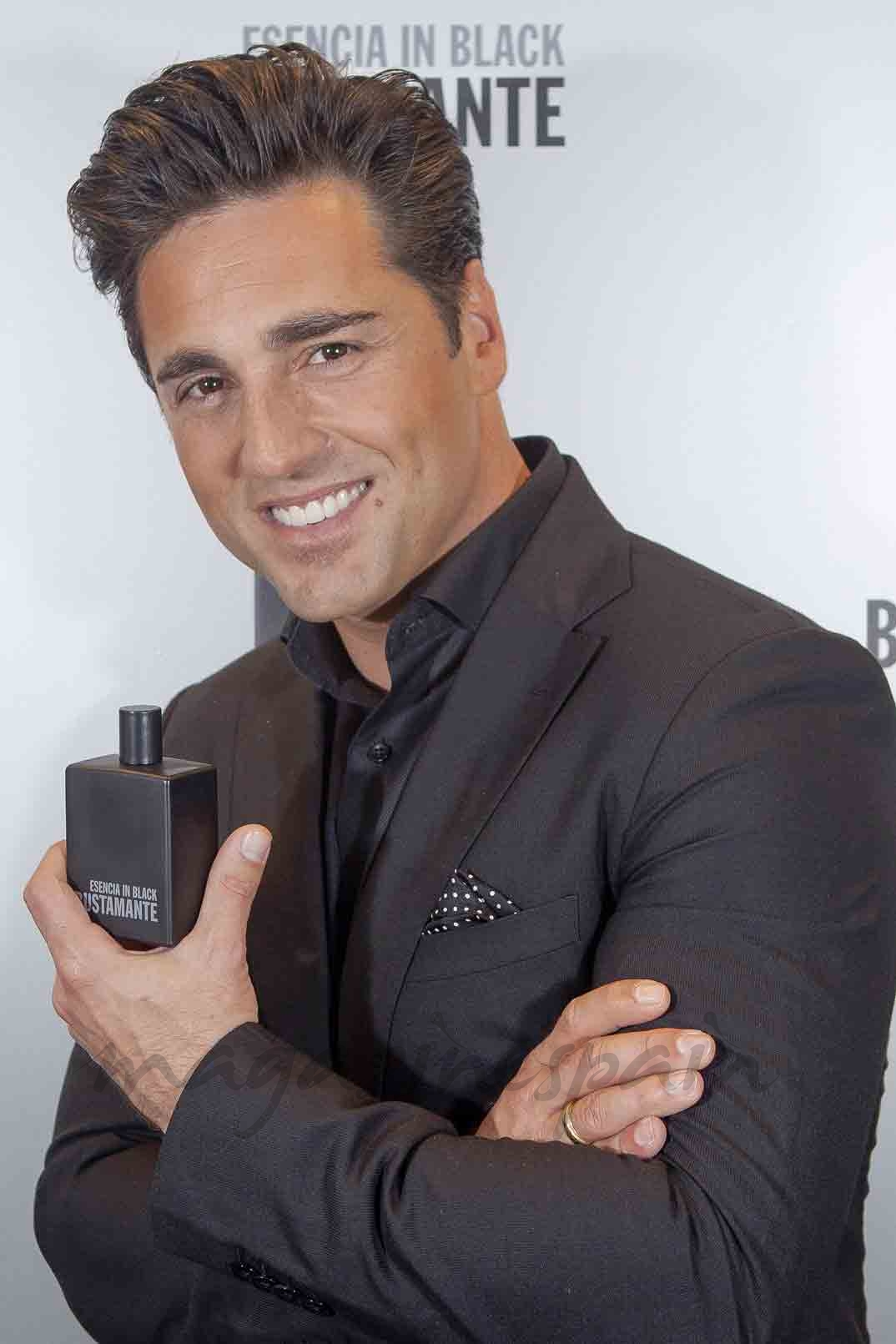 david bustamante galeria de imagenes