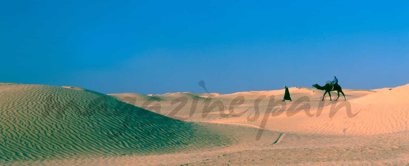 Travesía mágica por el desierto de Túnez