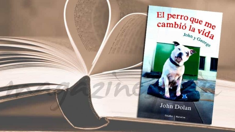 El perro que me cambió la vida