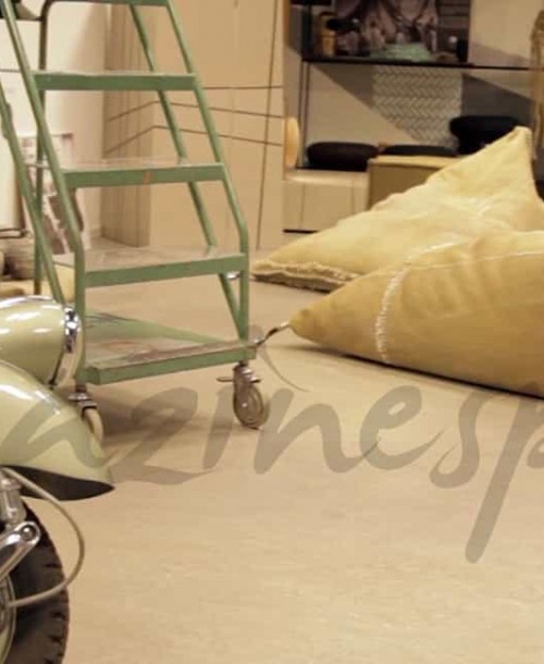 Fran Larrañaga en elPARACAIDISTA, un «concept store» muy diferente…