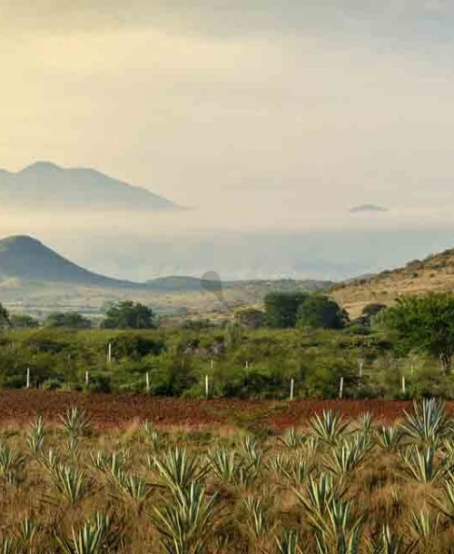 Ruta de ensueño por los pueblos mágicos de Puerto Vallarta y Riviera Nayarit