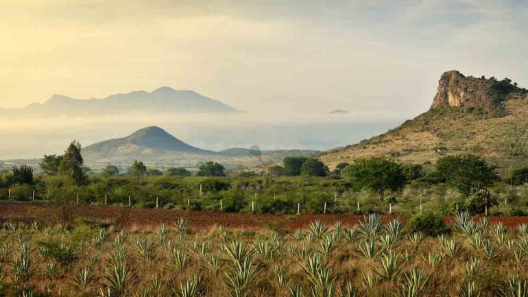 Ruta de ensueño por los pueblos mágicos de Puerto Vallarta y Riviera Nayarit