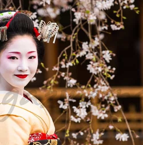 Descubre los secretos de una geisha