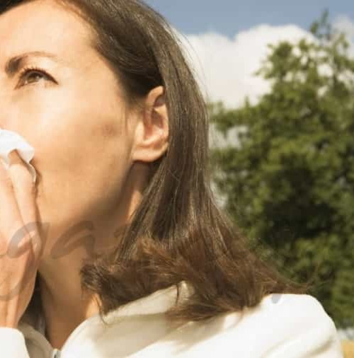 Gripe estacional y vacunación antigripal