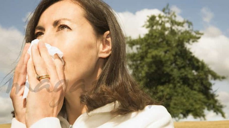 Gripe estacional y vacunación antigripal