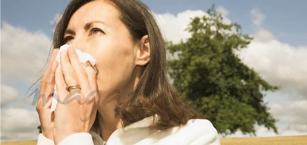 Gripe estacional y vacunación antigripal