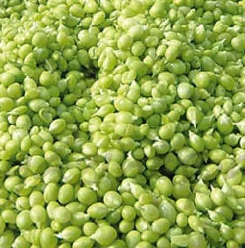 Un kilo de guisantes…400 euros