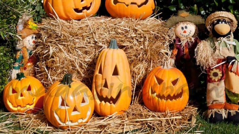 Propuestas de muerte para Halloween