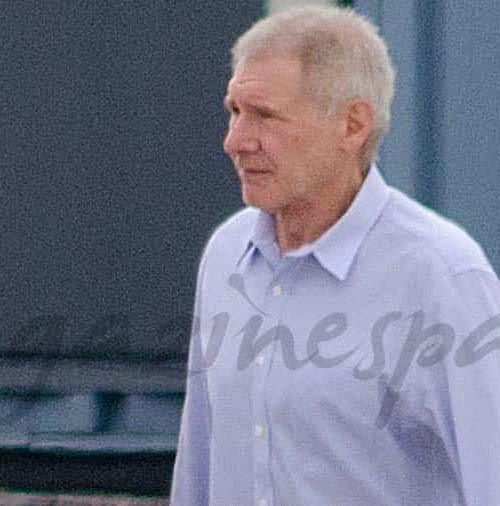 Harrison Ford en su avión